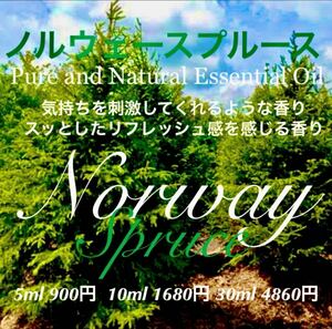 ノルウェースプルース精油10ml