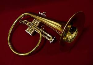 SUPER RARE!! MARIO CORSO FLUGELHORN MINT!