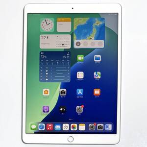 Apple SIMフリー iPad Air (第3世代) シルバー 64GB MV0E2J/A Wi-Fi+Cellular バッテリー最大容量95% アクティベーションロック解除済