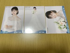 STU48 月別 ランダム生写真 2023.6月 曽川咲葵 セミコンプ