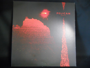 《PELICAN/12”X2》NIGHTTIME STORIES 