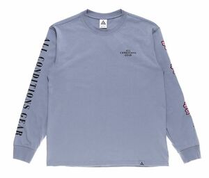 送料無料 2XL●NIKE ACG NRG FLORAL L/S TEE DQ4959-493 ナイキ ACG ロングスリーブ ロンT 長袖 花 オールシーズン