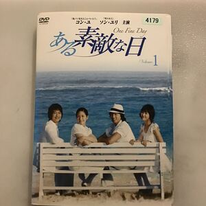 1009 ある素敵な日　全8巻　※ジャケットシール有り　レンタル落ち　DVD 中古品　ケースなし　ジャケット付き