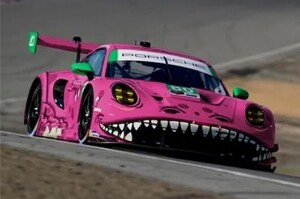 即決 ミニチュアデカール 1/24 ZD212 Porsche ポルシェ 911 AO Racing Roxy T-Rex 2023 送料無料