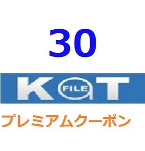 KatFile　プレミアム公式プレミアムクーポン ３0日間　入金確認後1分～24時間以内発送