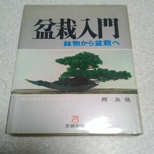 盆栽入門 鉢物から盆栽へ 西良祐