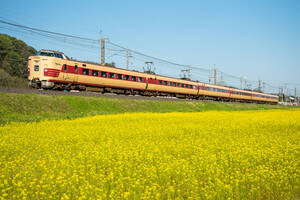 鉄道 デジ 写真 画像 381系 国鉄色 特急やくも 39