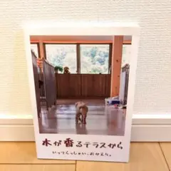 木が香るテラスから　いってらっしゃい、おかえり。盲導犬パピー　ラブラドール写真集