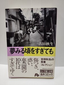 [送料無料] 中古 夢みる頃をすぎても 著/ 吉田秋生 小学館文庫