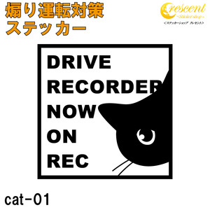 煽り運転 危険運転 対策 ステッカー cat01 全26色 追突防止 妨害運転 録画中 記録中 ドライブレコーダー rec シール デカール