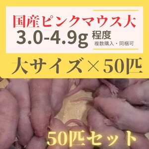 訳あり激安！　国産冷凍ピンクマウス　Lサイズ　50匹セット　約3.0-4.9g程度