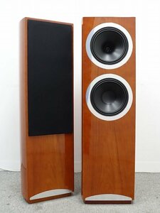 ■□【美品・全国発送可】TANNOY Definition DC10T スピーカーペア タンノイ□■026520012W-2□■