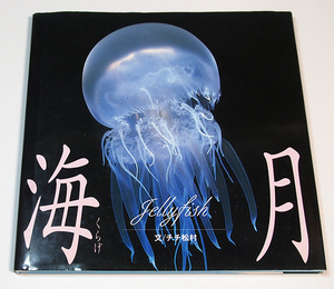 海月　くらげ/チチ松村（文）ネイチャープロダクション　jellyfish