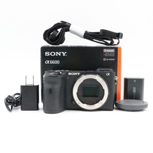 【極上品】SONY ソニー ILCE-6600 Black ＜ショット数6058回！＞