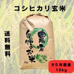 新潟コシヒカリ玄米（岩船）10kg ! お買得！