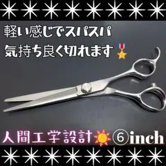 スパッと切れる理美容師プロ用シザーカットバサミハサミ✨トリマートリミングペット可