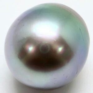 (南洋黒蝶真珠13.244ct)j 約11.9-13.2mm ルース 裸石 宝石 south sea pearl 真珠 DC0/DC0 k