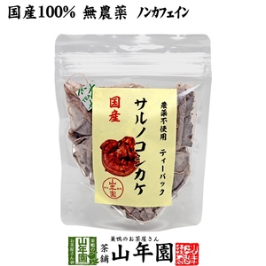 健康茶 国産100% サルノコシカケ茶 ティーパック 1.5g×20パック 宮崎県産 鹿児島県産 無農薬 ノンカフェイン 送料無料