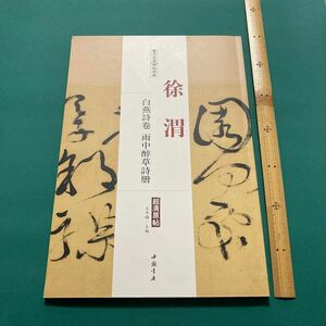 徐渭 白燕詩巻 雨中酔草詩冊 歴代名家碑帖経典 中国語書道　H