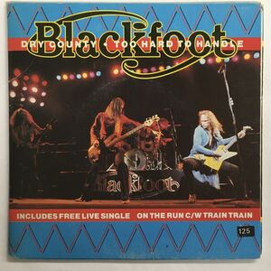 SOUTHERN ROCK/BLACKFOOT/ DRY COUNTRY (7") UK ORIGINAL, DOUBLE PACK 2枚組 (g163)