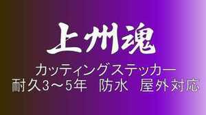 T17　小サイズ　デコトラ　軽トラック　トラック　ダンプ　運送　貨物 フロント リア ボディ カッティングステッカー