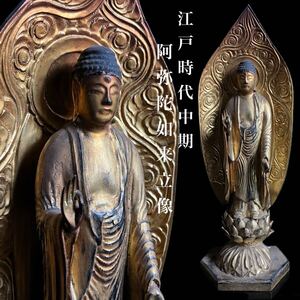 ◇鸛◇ 仏教美術 江戸時代中期 木彫 阿弥陀如来立像 52.5cm 細密彫刻 古仏 仏像 寺院 仏像唐物骨董