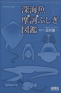 深海魚摩訶ふしぎ図鑑/サイエンス