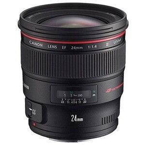 中古 １年保証 美品 Canon EF 24mm F1.4L II USM