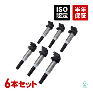 イグニッションコイル 6本セット BMW E39 E60 E61 E63 E64 E53 E70 X5 525i 530i 530xi 630i 3.0i 3.0si 12138616153 12137594596