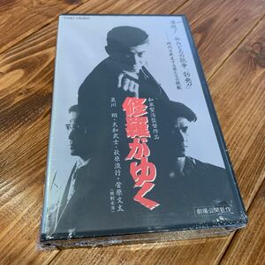 VHS ビデオテープ 修羅がゆく 哀川翔 大和武士 萩原流行 菅原文太