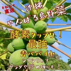 農家産直特価！沖縄本島産　旬の健康野菜　青パパイヤ　2㎏！