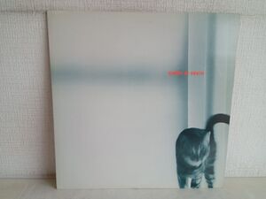 LP盤レコード / ECHOES OF YOUTH / 見本盤 / リーフレット付き / KENWOOD / AW-25044 【M005】