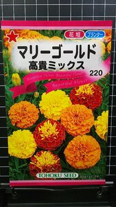 マリーゴールド 高貴 ミックス ３袋セット 種 郵便は送料無料