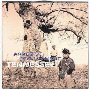 【レコード/7inch】ARRESTED DEVELOPMENT /TENNESSEE