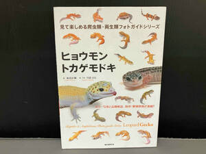 全体的にヨレあり/ ヒョウモントカゲモドキ 海老沼剛