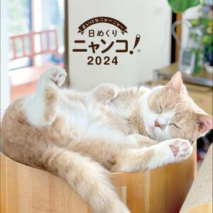 日めくりニャンコ2024卓上カレンダー！猫写真＆メモ欄付き 猫 机 デスク