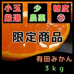 みかん 和歌山 数量限定！甘い 有田みかん3kg 小粒 ss 小玉 蜜柑