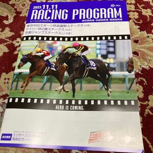JRAレーシングプログラム2023.11.11(土)デイリー杯2歳ステークス(GⅡ)武蔵野ステークス(GⅢ)、京都ジャンプステークス(J・GⅢ)他