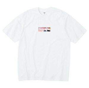 Supreme x EMILIO PUCCI Box Logo Tee ボックス ロゴ Tシャツ L ホワイト エミリオプッチ シュプリーム