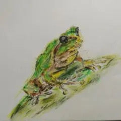 自作クレヨン画　アマガエル