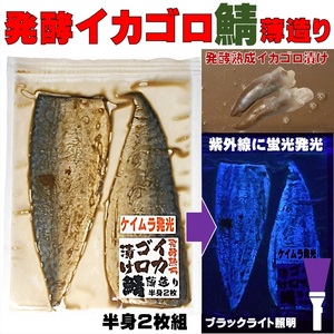 ケイムラ 蛍光発光 養殖飼料 発光熟成 イカゴロ漬け 鯖 薄造り 半身２枚組 サバ エサ サバ 餌 サバ 釣り 鯖 エサ 鯖 餌 さば エサ さば 餌