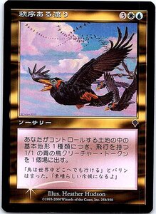 FOIL/秩序ある渡り/Ordered Migration/インベイジョン/日本語版/MTG１枚 [FC]