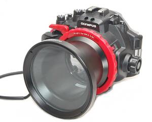 ◆極上美品◆OLYMPUS オリンパス PT-EP11 PPO-E02 防水プロテクター カメラハウジング OM-D E-M1用 デジタルミラーレス一眼 水中ハウジング