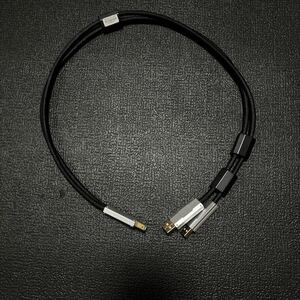 iFi audio GEMINI デュアルヘッドUSBケーブル　0.7m