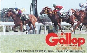 ●Gallop センゴクヒスイ 田中勝春騎手 新潟記念テレカ