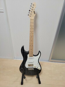 ESP SNAPPER AS/M BKinWH Fi　ケース付き