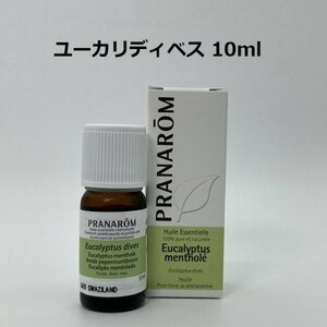 【即決】ユーカリ・ディベス 10ml プラナロム PRANAROM アロマ 精油　ユーカリディベス　(S)