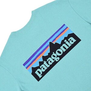 Patagonia パタゴニア　長袖 Tシャツ P-6 ロゴ レスポンシビリティー Sサイズ ライトベリルグリーンLBYG　 　既に国内外で在庫薄！