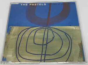 The Pastels worlds of possibility CD