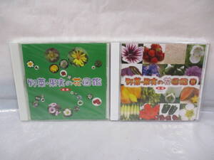 2点 CD-ROM 野菜・果実の花図鑑 JA全農 非売品　